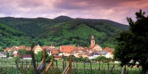 Riquewihr on the Alsace wine route